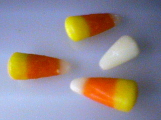 albino candy corn 1