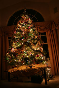 Tree with a tail