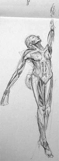 bodyworlds6